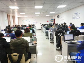 元宵佳節，相聚黑馬 鄭州Python基礎3期開班啦！